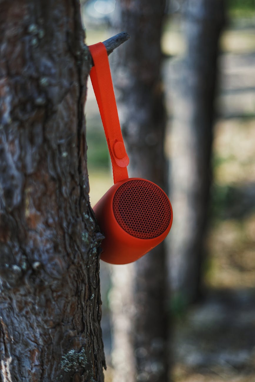 Bose SoundLink Micro